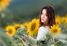 养胃新选择：一杯养生茶，胃部问题轻松解决